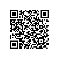 九龍大道至發(fā)展大道連接線工程招標代理選取中選結(jié)果的公告（重慶）