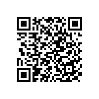 勉县元墩镇渭溪沟村移民搬迁集中安置点工程施工及监理招标公告（陕西）