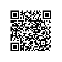 寧陜縣2016年度招標(biāo)代理等中介機(jī)構(gòu)招選成交公告（陜西）