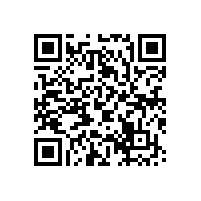 四方洞崩塌治理項目可行性研究報告與初步勘察設計(二次) 蹉商成交公告（陜西）