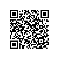 陜西省財(cái)政廳：關(guān)于進(jìn)一步規(guī)范政府采購限額標(biāo)準(zhǔn)以下采購活動(dòng)的通知