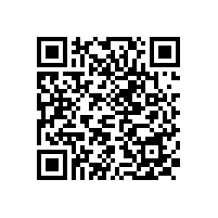 陜西省人民政府辦公廳關(guān)于印發(fā)政府集中采購(gòu)目錄及標(biāo)準(zhǔn)(2021年版)的通知