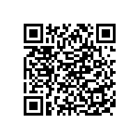 天然氣勘探開發(fā)部靖邊延969井區(qū)試氣生產所需橋塞及打撈筒、封隔器采購項目擬入圍結果公示(陜西)