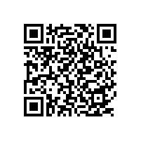 學(xué)前教育、電商專業(yè)軟性建設(shè)項(xiàng)目成交公告(南寧)