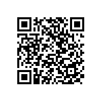 岳陽市市容環(huán)境衛(wèi)生中心電動快速保潔車政府采購項目中標(biāo)公告（岳陽）