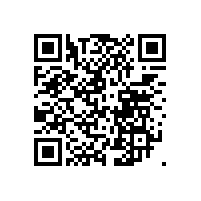 招標(biāo)代理機構(gòu)幫助投標(biāo)人審查投標(biāo)文件要慎重！