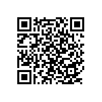 雷州市覃斗鎮(zhèn)省級專業(yè)鎮(zhèn)建設(shè)項目中標(biāo)（成交）公示