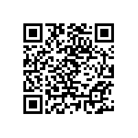 招標(biāo)代理機構(gòu)：項目經(jīng)理各階段任務(wù)-項目部成立階段