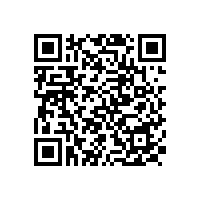 政府采購(gòu)項(xiàng)目的實(shí)質(zhì)性要求如何設(shè)置？十五個(gè)要素需抓住