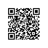 中共中央辦公廳、國務院辦公廳：關(guān)于推進新型城市基礎(chǔ)設(shè)施建設(shè)打造韌性城市的意見