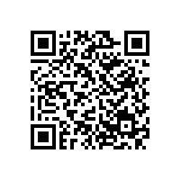 銀箭金屬顏料看國內(nèi)涂料原材料價(jià)格暴漲背后的深層意義