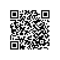 基于剩磁预测的变压器励磁涌流特性分析与抑制策略研究