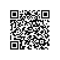 大河西先導(dǎo)區(qū)規(guī)劃展示館盒式蜂窩板幕墻