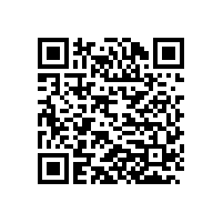 德國(guó)電機(jī)專家應(yīng)邀來我公司做技術(shù)指導(dǎo)工作