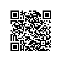 第十七屆中國(guó)電機(jī)及系統(tǒng)發(fā)展論壇在涇縣隆重舉行