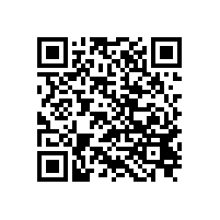 高時(shí)效才是王者,承接大產(chǎn)量螺絲訂單_電子螺絲廠家世世通