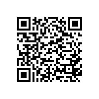 公司取得国外仓库租金发票，能否入账，企业所得税税前扣除呢？