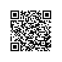 将公交车的车身出租给他人用于发布广告取得收入应按什么项目缴纳增值税？