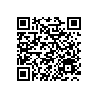 2015年国产挖掘机性价比之王-宝鼎轮式90挖掘机