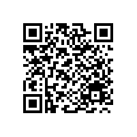 2016年一季度宝鼎90系列小型抓木机销量进入国产抓木机热销行列