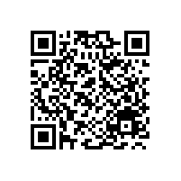 2017开门红宝鼎挖掘机抓木机厂家发往各地销售点车队加紧运输