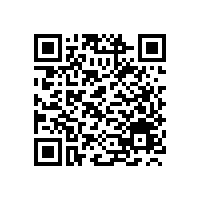 宝鼎BD95W-9轮式抓木机型号两款技术配置各自特点介绍-宝鼎抓木机厂家官方介绍