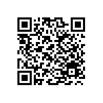 宝鼎轮式挖掘机:从青铜到王者的逆袭之路