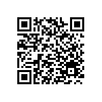 宝鼎挖掘机厂家2016年企业发展规划一览，加快小挖市场竞争力