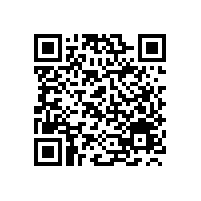 宝鼎挖掘机厂家主打产品推荐介绍_BD95-9A轮式抓木机