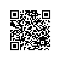 国产热销轮式挖掘机抓木机型号哪家强？BD95W-9还是XY75-9