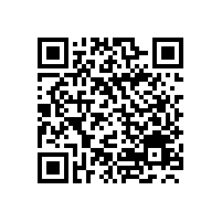 国产挖掘机与进口挖掘机市场发展的差异化