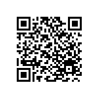 轮式挖掘机：市场现状与宝鼎挖掘机的优势