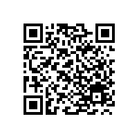 轮式挖掘机已步入成熟车型行列