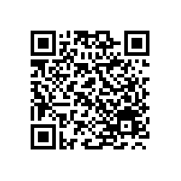 轮式抓木机车型宝鼎BD95W-9A型号-经典永不止步