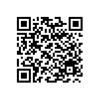 现阶段国产小型挖掘机市场只能采取低价格竞争吗？
