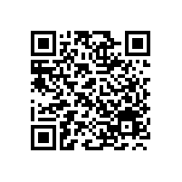 中规中矩、服务于民——宝鼎95轮式抓木机