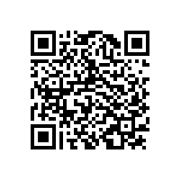 竊賊，你當東莞中堂保安公司的保安是擺設嗎？