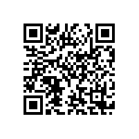 爵士龙音响厂家实力雄厚