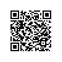 50公分長(zhǎng)浴缸扶手,使用率高，實(shí)用性強(qiáng)