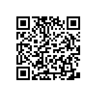 安全的衛(wèi)生間防滑扶手怎么安裝才好【藍(lán)品盾】