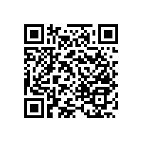 安全衛(wèi)生間坐便器老人扶手-斷絕安全隱患【藍(lán)品盾】