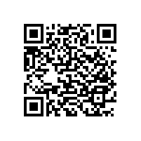 南昌-衛(wèi)生間浴室扶手的款式【藍(lán)品盾】