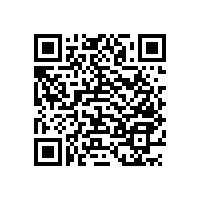 幼兒園衛(wèi)生間殘疾人扶手---藍(lán)品盾