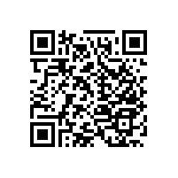 安裝公共衛(wèi)生間及沐浴間安全扶手防滑小能手【藍(lán)品盾】