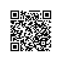 安裝馬蹄式衛(wèi)生間老人安全扶手打造舒適的衛(wèi)生間【藍(lán)品盾】