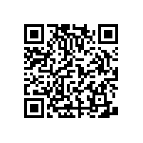 安裝衛(wèi)生間安全扶手“避免危險事故”【藍(lán)品盾】