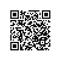 安裝衛(wèi)生間坐便器老人扶手不僅防滑還省空間【藍(lán)品盾】