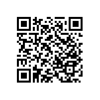 安裝無(wú)障礙殘疾人衛(wèi)生間扶手有多少款式？【藍(lán)品盾】