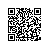 安裝無(wú)障礙衛(wèi)生間扶手對(duì)安全就了極大的保障【藍(lán)品盾】