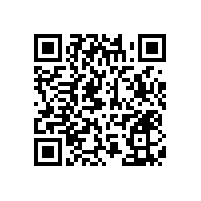 安裝醫(yī)院養(yǎng)老院衛(wèi)生間無(wú)障礙扶手還老人一個(gè)安全的衛(wèi)生間【藍(lán)品盾】